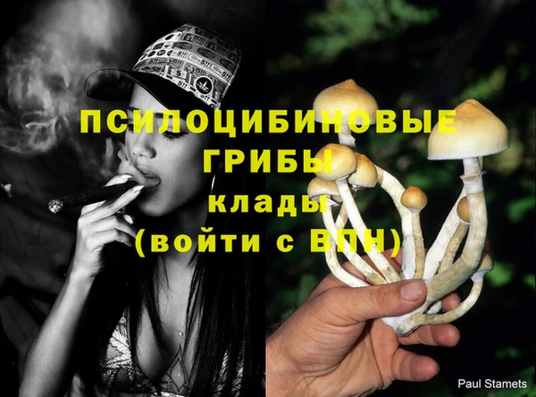 бутират Гусиноозёрск