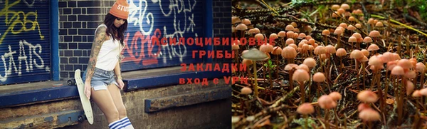 мдма Щигры