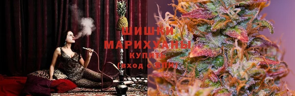 apvp Гусь-Хрустальный